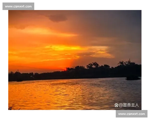风吹来浪打来温柔似海波涛汹涌诉说着岁月的痕迹与心中的不舍